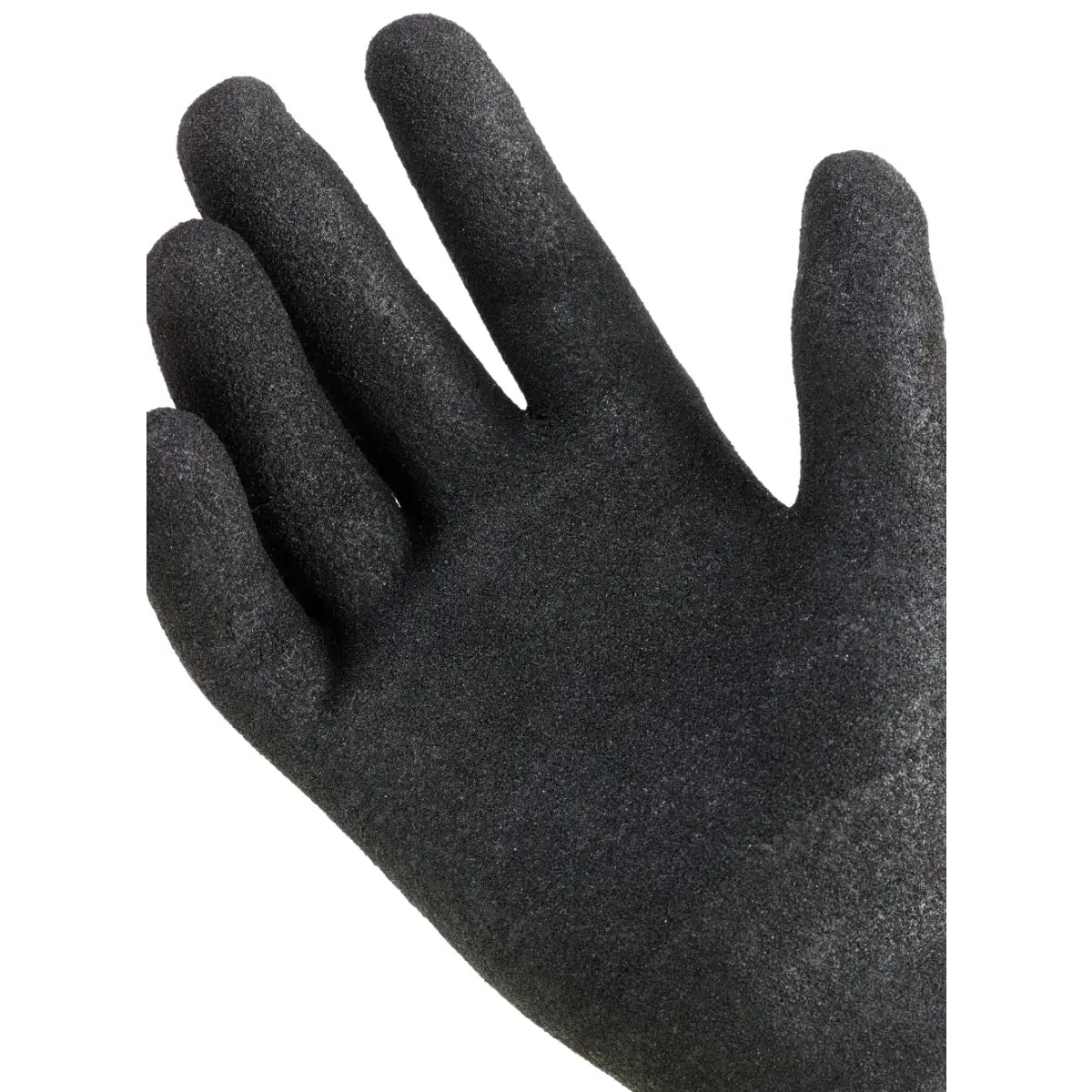 DI_8810R-1
