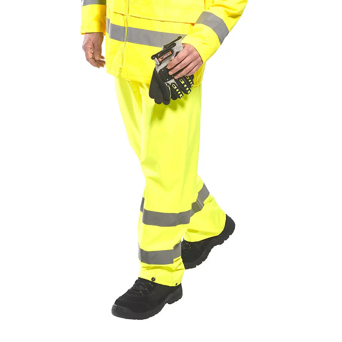 H441_LS_1.jpg